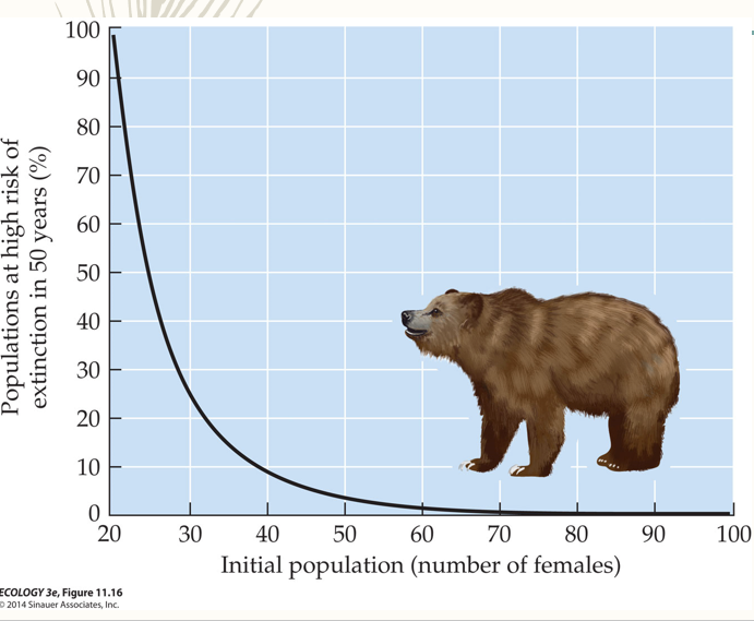 <p>Environmental stochasticity has a greater impact at low N. Even with high growth rate, a small population can still go extinct because of reproductive variability. </p>