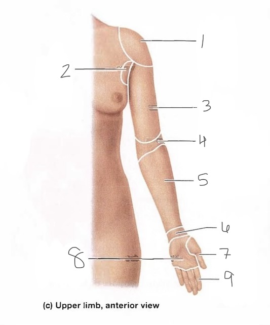 <p>2</p>