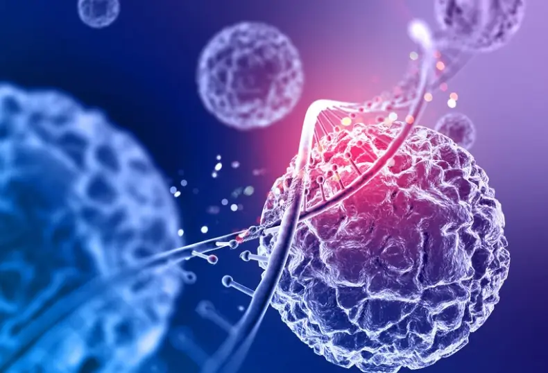 <p>what are enzymes?</p>