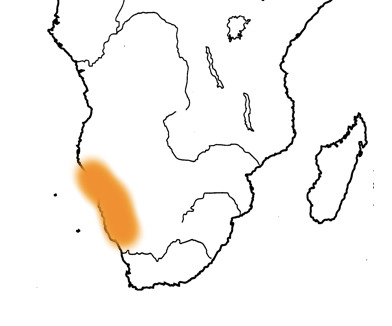 <p>a desert in southwestern Africa</p>