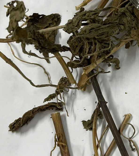 <p>Tía tô bộ phận dùng</p>