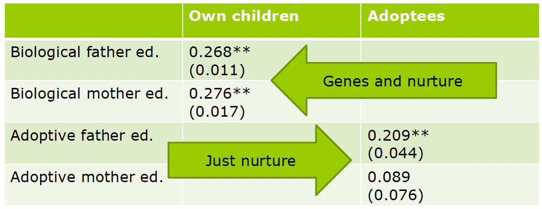 <p>What did Plug (2004) find regarding adopted children?</p>