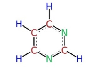 <p>name of the structure:</p>