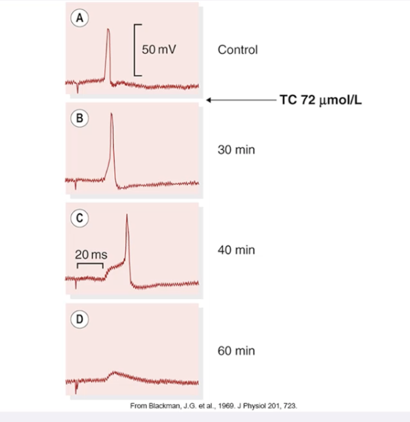 <ul><li><p><strong>Trace C (40 min):</strong> The EPSP only <em>just</em> succeeds in reaching threshold to trigger an action potential.</p></li><li><p><strong>Trace D (60 min):</strong> The EPSP has fallen completely <strong>below the threshold</strong>, failing to trigger an action potential entirely.</p></li></ul><p></p>