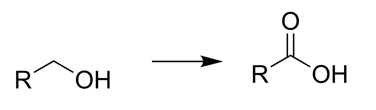 <p></p>