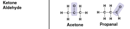 <p>what group and function</p><ul><li><p>C=O</p></li></ul><p></p>