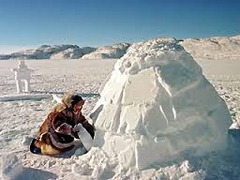 <p>Canadian Shield </p><p>Igloos made of snow or stone (winter)</p><p>Stone Pit homes</p><p>• Arctic Hunters</p><p>• Fishermen</p><p>Alaska and Northern Canada</p>