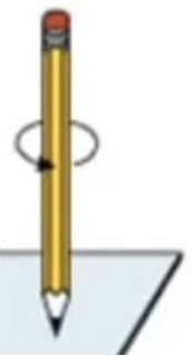 <p>If a bone can spin (rotate) inside the body, that is called</p>