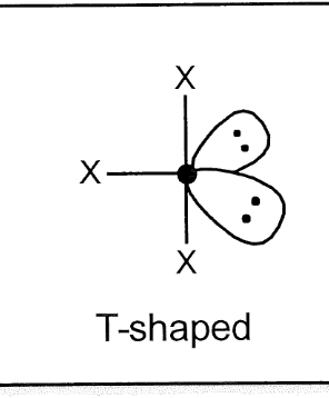 <p>t-shape </p>