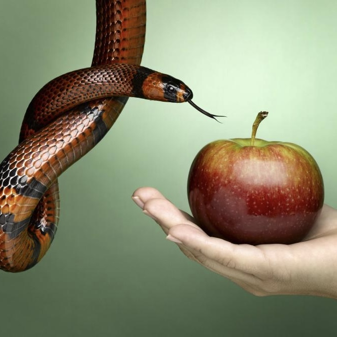 <p>Quels sont les 7 péchés capitaux ? (Indice : ACGJLOP)</p>