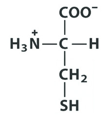 <p>Give the symbol, abbreviation, Name of this amino acid</p>