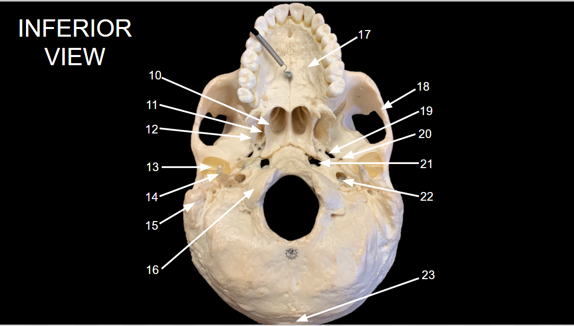 <p>WHAT IS 23 CALLED?</p>