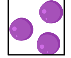 <p>Coccus</p>
