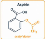 <p><strong>Aspirin</strong> = <strong>acetylsalicylic acid </strong></p><p><u>Ester bond</u></p><p>Aspirin = short-term effect → <u>most cells synthesize new COX Enzyme</u></p><p><strong>Low-Dose Daily Aspirin</strong> → Platelets = cell fragments =  NO nucleus → CANNOT synthesize new COX Enzyme (10 days)</p><ul><li><p><span style="color: green;">↓Risk of heart attack + stroke</span></p></li></ul><p></p>