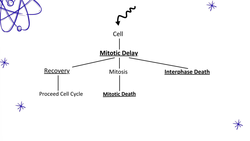 <p>MEMORIZE THE IMAGE OKAY???</p>