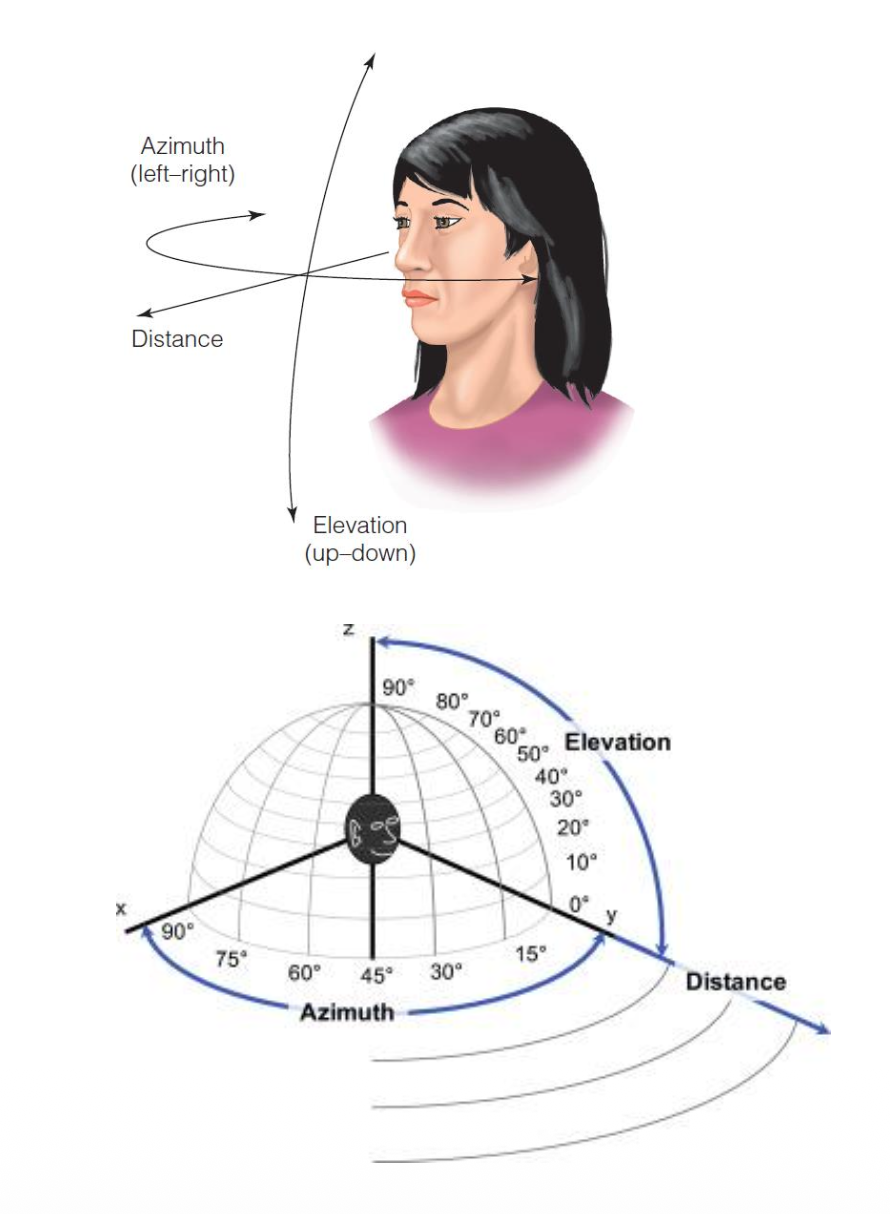 <p><u>Polar Coordinate System</u></p><p class="p2">Brain uses __ centered on the head to locate sounds, along with ear shape &amp; head position.</p><p class="p2">___: surrounds an observer and exists wherever there is sound.</p><p class="p3"><span style="color: rgb(247, 145, 145);">• Azimuth coordinates: ?</span></p><p class="p3"><span style="color: rgb(117, 181, 252);">• Elevation coordinates: ?</span></p><p class="p3"><span style="color: rgb(246, 118, 239);">• Distance coordinates: ?</span></p>