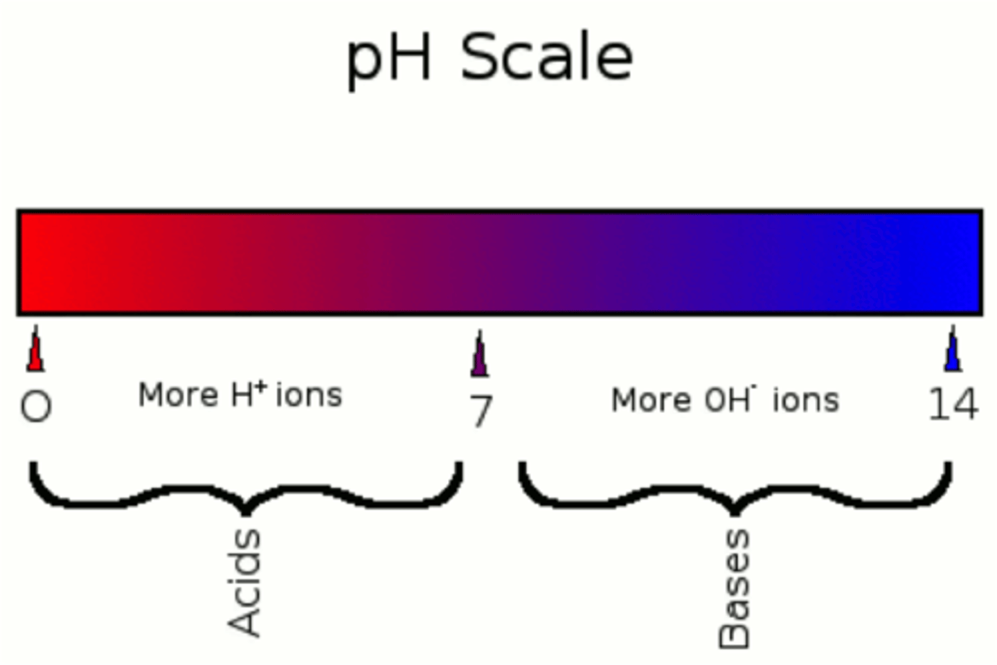 <p>acidic: low pH</p><p>basic: high pH</p>