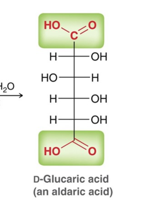 <p>An aldaric acid</p>