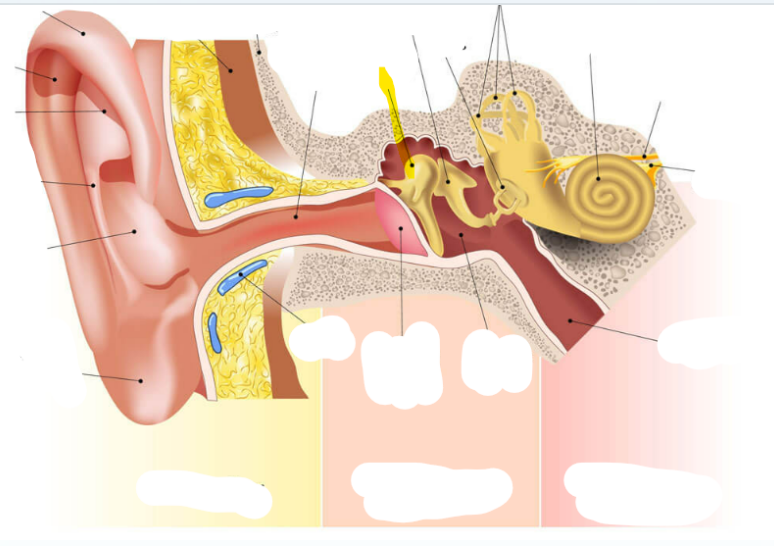 <p>What is this </p>