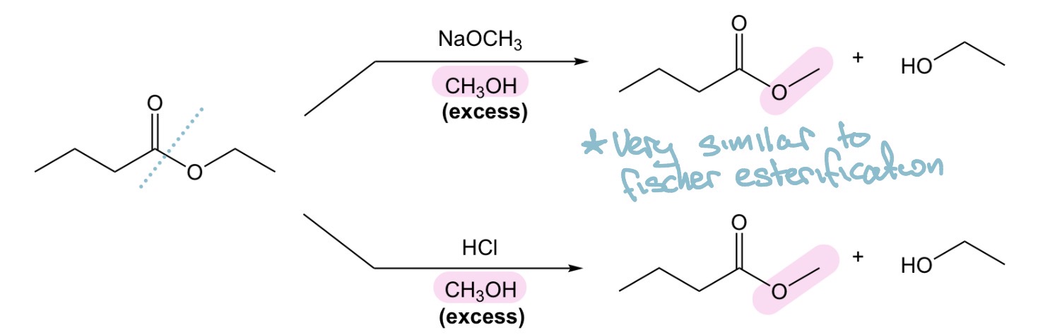 <p>Transesterification</p>