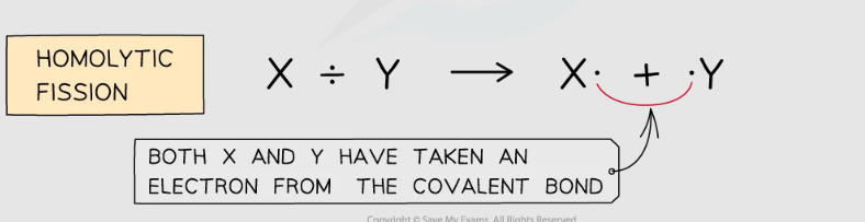 <p>both atoms at each end of the bond leave with one electron from the pair forming the covalent bond </p>