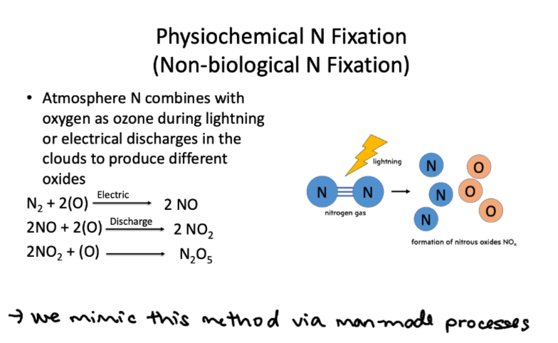 <ul><li><p>atmosphere N combines with oxygen as ozone during lightning or electrical discharges in the clouds to produce different oxides </p></li></ul><p></p>