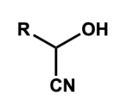 <p><span>addition</span></p>