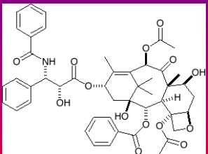 <p>identifica</p>