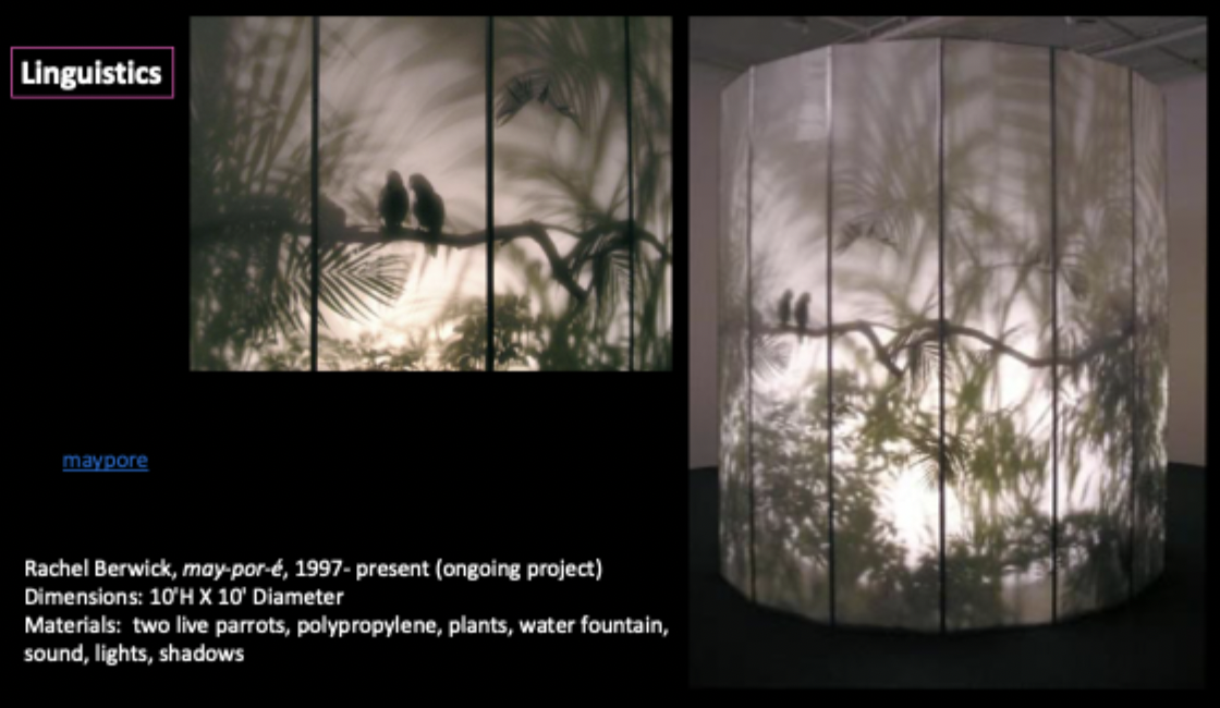 <p>Rachel Berwick, may-por-é, 1997 - present (ongoing project). (compare and contrast)</p>