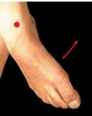 <p>Turning the sole of the foot inward.</p>