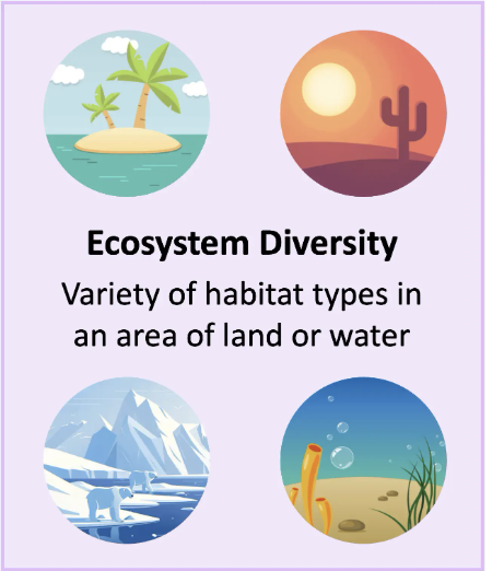 <p><span>variety of habitat types or ecological niches within a given area</span></p>