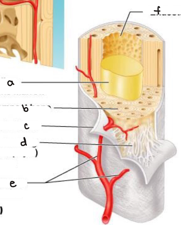 <p>what is e?</p>