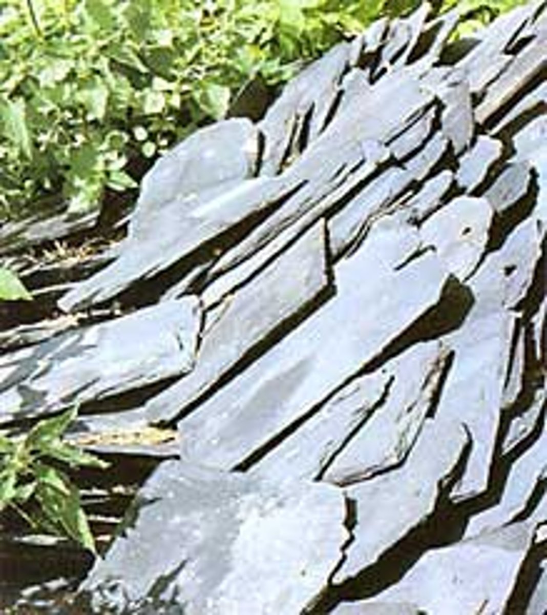 <p>schist, slate, marble, quartzite, gneiss (pronounced "nice")</p>