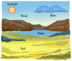 <p>nonliving parts of an ecosystem</p>