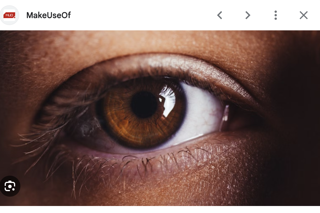 <p>Extreme close up </p>