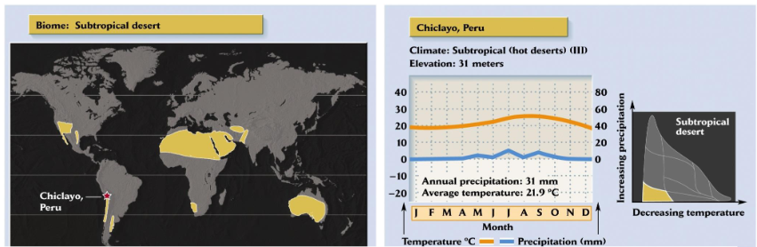 <ul><li><p>high temps low precip</p></li><li><p>20-30 N and S latitude</p></li><li><p>20% of earths land area</p></li><li><p>soil usually extremely low in organic matter - what organic matter there is just decomposes due to the heat</p></li><li><p>plant cover - sparse to none</p></li><li><p>animal abundance low, but biodiversity may be high</p></li></ul><p></p>