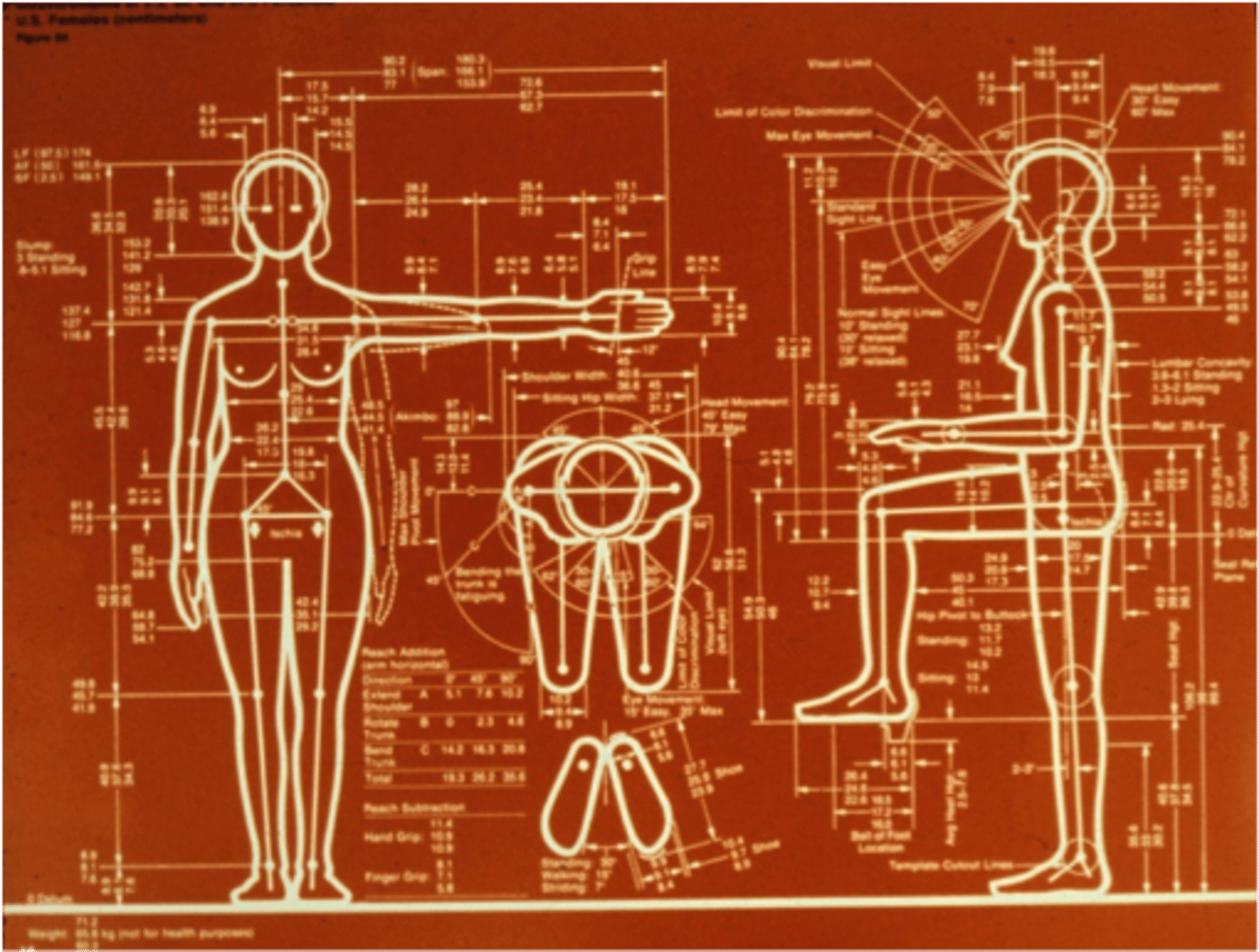 <p>QN=67</p><p>This is Niels Diffrient's Humanscale 1/2/3 manual, designed by Henry Dreyfuss Associates, 1974.</p><p>What is the name of the design that applies this manual?</p><p>Check one otion.</p><p>a. Organic design.</p><p>b. Anthropometric.</p><p>c. Creative Salvage.</p><p>d. Ergonomics</p>