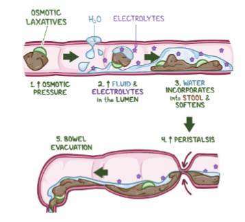 <p>in clinical settings, patients are sometimes given solutions of paolyethylene glycol, which CANโT be absorbed by the body. Why?</p>