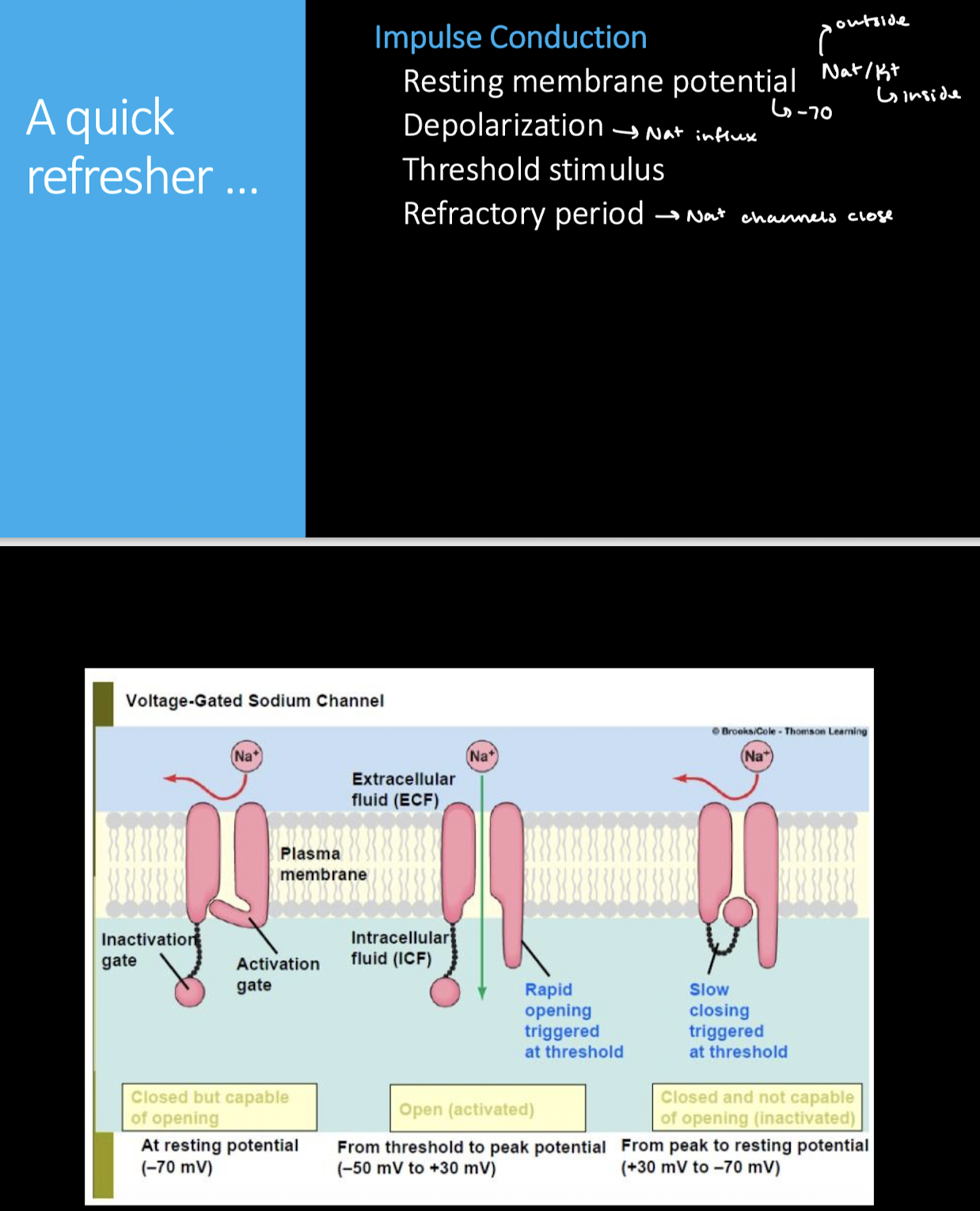knowt flashcard image