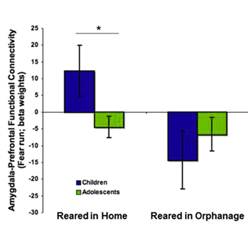 <p>explain this diagram</p>
