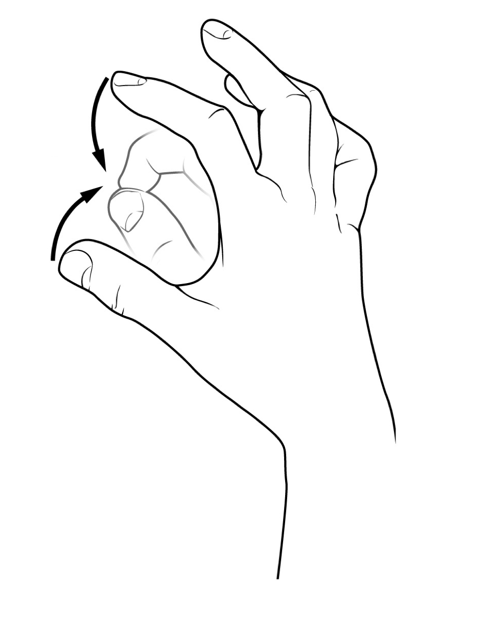 <p>name the muscle action</p>