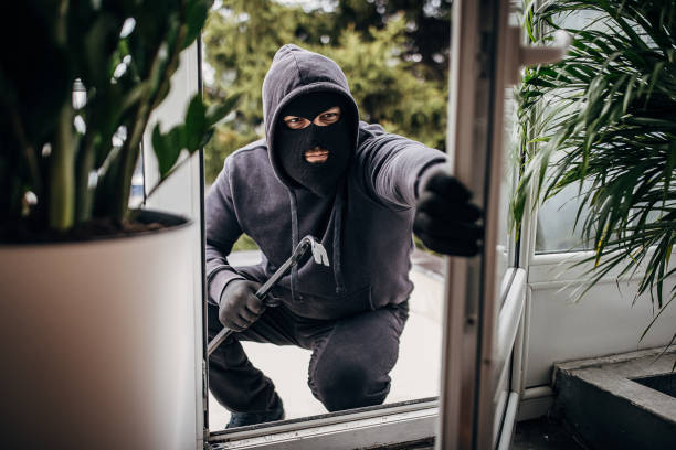 <p>burglar (n) <span>/ˈbɜːɡlə(r)/</span></p>