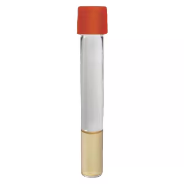 <p>Stab</p><ul><li><p>liquid</p></li></ul><p></p>