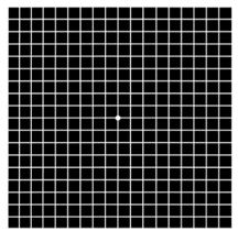 <p>standard chart</p>