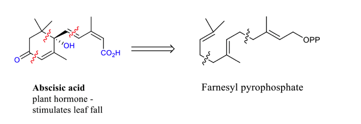 <p>describe the biosynthesis of the sesquiterpene absicisic acid </p>