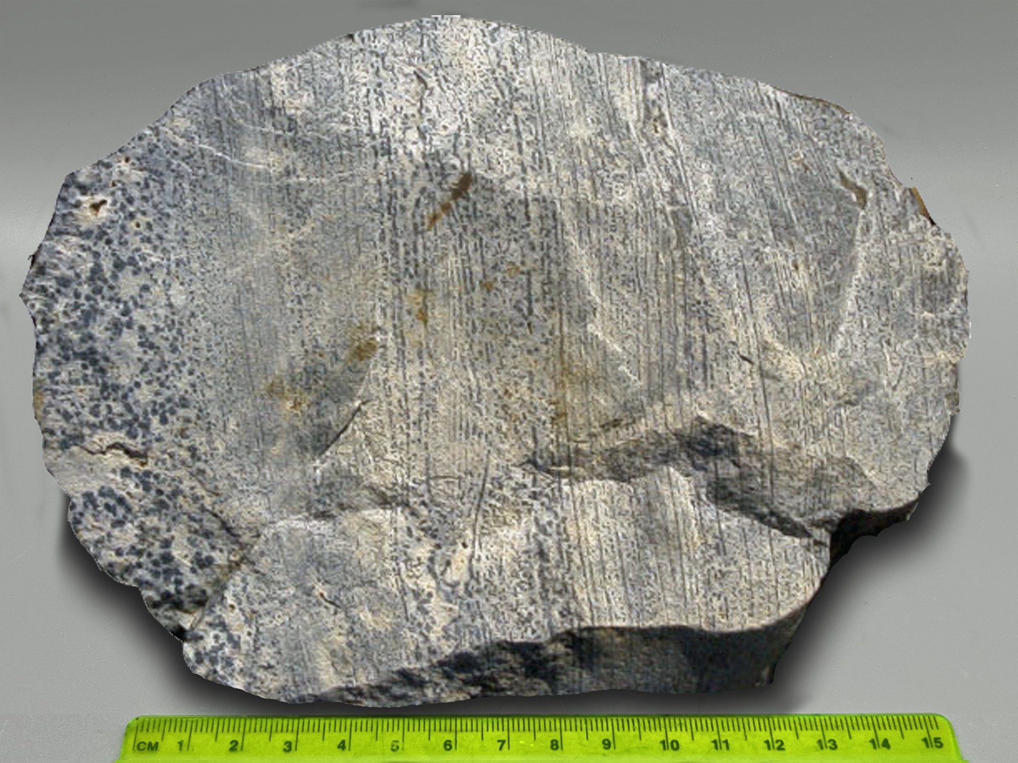 <p>Planar parallelism of compositional zones. </p>