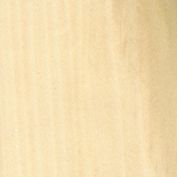 <p>Diffuse porous </p><p>Heartwood with very distinctive color </p><p>rays distinct, olive-green to olive brown heartwood</p><p>light weight, easily dented with thumbnail</p><p>growth ring terminated by boundary parenchyma (appears as a thin pale band)</p>