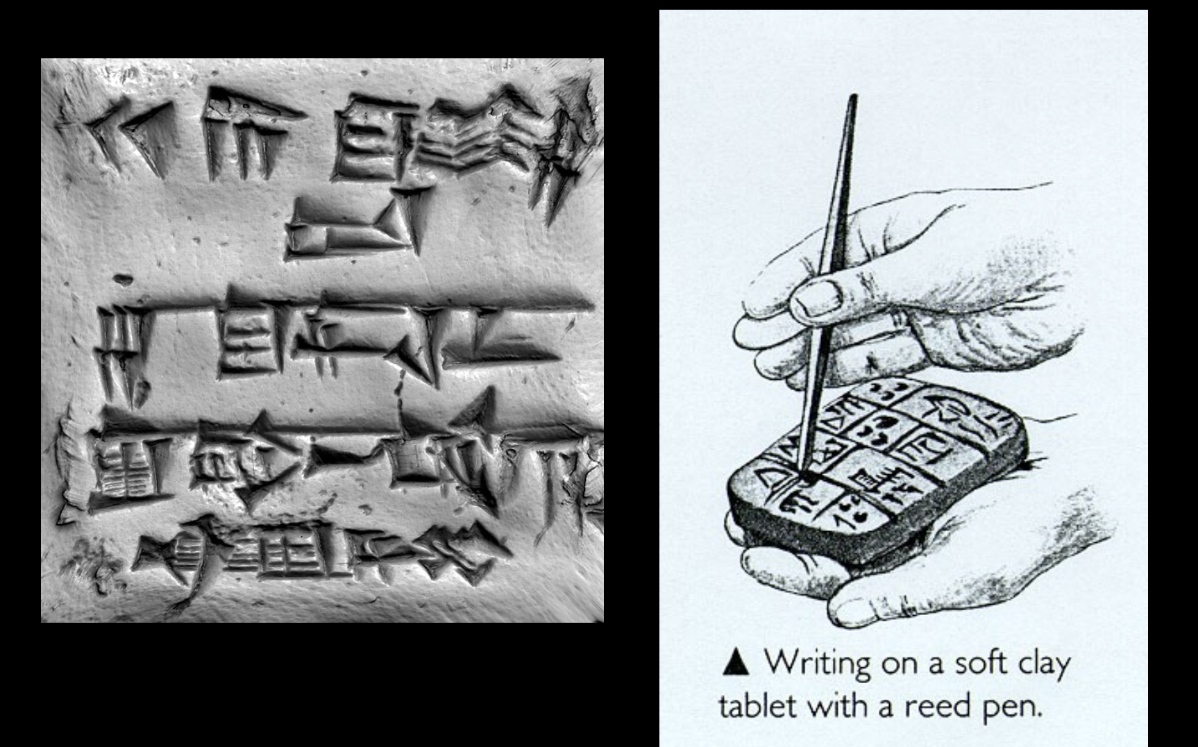 <p>what is this script </p>