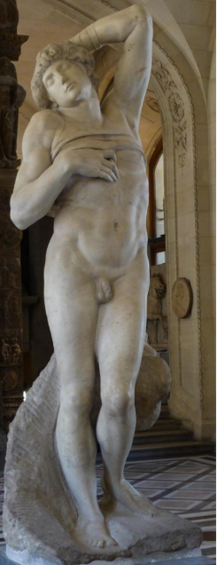 term image
