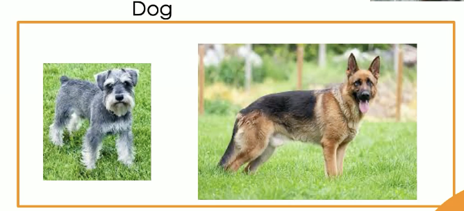 <p>Adding new information to a schema that already exists</p>